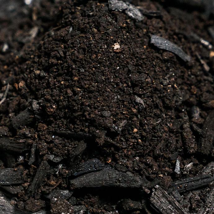 Biochar photo de la texture