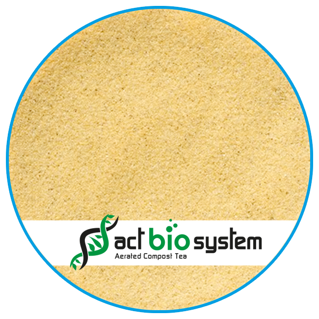 Zéolithe de type Chabasite Micronisé 20μ : Gros volume