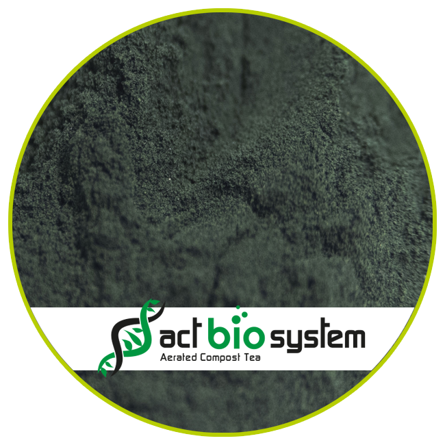 SPIRULINE POUDRE NPK, minéraux, protéines_ACT