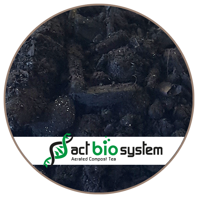 BIOCHAR : charbon végétal, micro-organismes_ACT