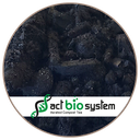 [BIOCH500] BIOCHAR : charbon végétal, micro-organismes_ACT (500L)