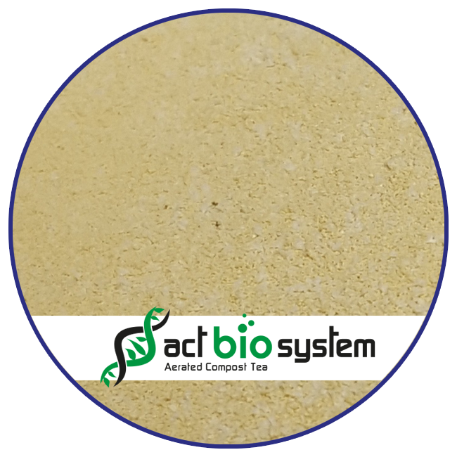 BACILLUS IT35 Amyloliquefaciens X5_Microorganismes_ACT