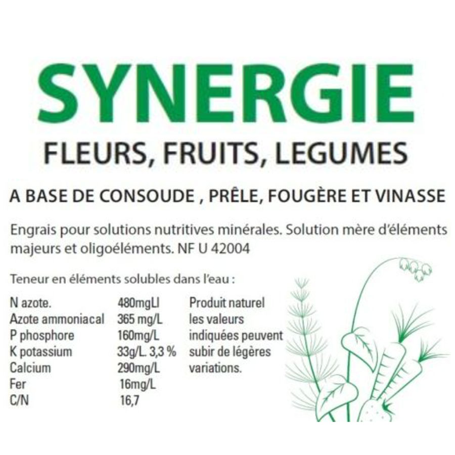 SYNERGIE : Consoude, Prêle, Fougère, Vinasse de betterave_ACT