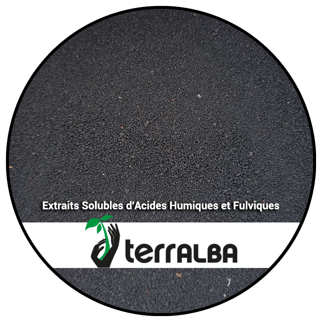 Extraits Solubles d'Acides Humiques et Fulviques_ACT