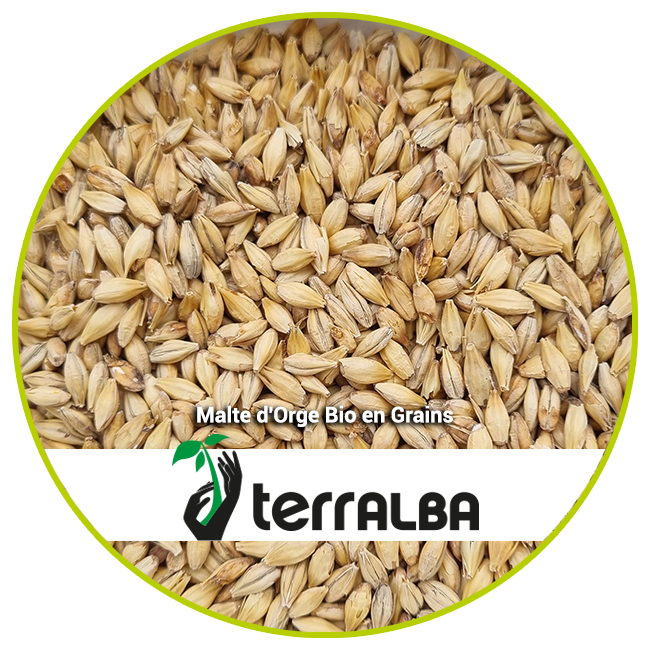 Malte d'Orge Bio en grains_ACT