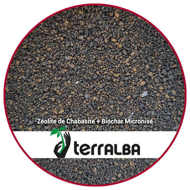 Zéolithe de Chabasite + Biochar Micronisé_ACT
