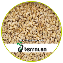 Malte d'Orge Bio en grains_ACT