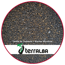 Zéolithe de Chabasite + Biochar Micronisé_ACT