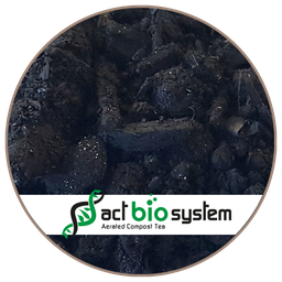 BIOCHAR : charbon végétal, micro-organismes_ACT